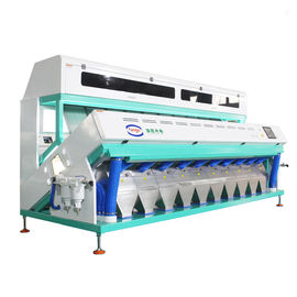 Intelligent 10 Chutes Coffee Color Sorter With Human Computer Interface